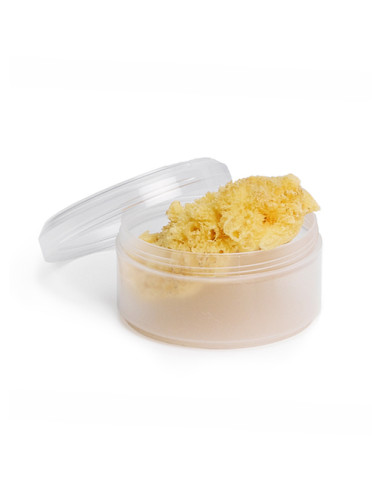 Suavinex Esponja Natural Para Bebés
