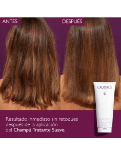 Caudalie Champú Tratante... 2