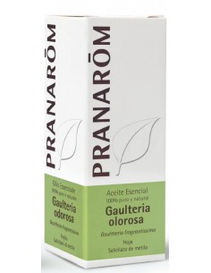 PRANAROM AE GAULTERIA...