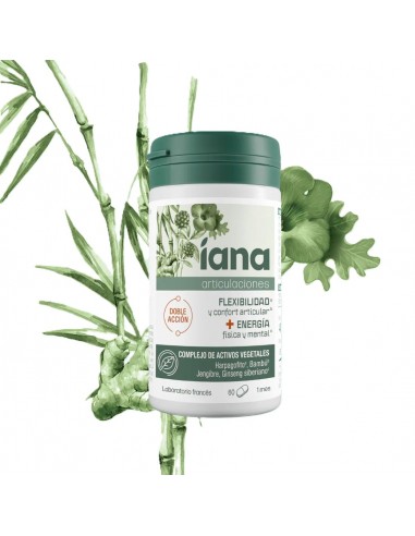 IANA FLEXIBILIDAD Y ENERGIA 60...