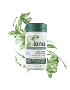 IANA ARTICULACIONES Y SUEÑO...