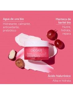 CAUDALIE VINOHYDRA CREMA... 2