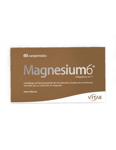 Magnesium 6 60 Comprimidos