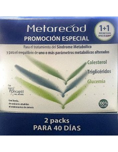 METARECOD 40 SOBRES 2,5 G