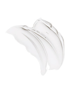 Skinceuticals Gel Limpiador... 2